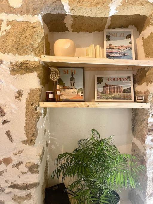 Eden De Thau 1Ere Ligne Apartman Bouzigues Kültér fotó